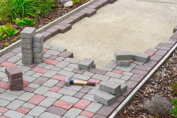 Best Driveway Paving Contractor  in Carrollton, AL