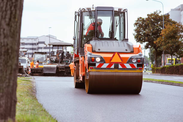 Best Driveway Paving Near Me  in Carrollton, AL