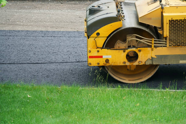 Best Permeable Paver Driveway  in Carrollton, AL