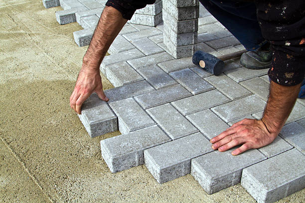 Best Driveway Pavers Near Me  in Carrollton, AL