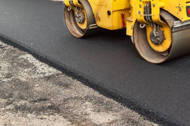 Best Custom Driveway Pavers  in Carrollton, AL