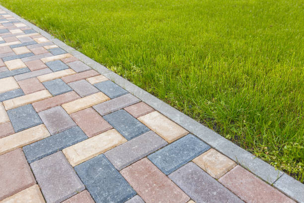 Best Professional Driveway Pavers  in Carrollton, AL